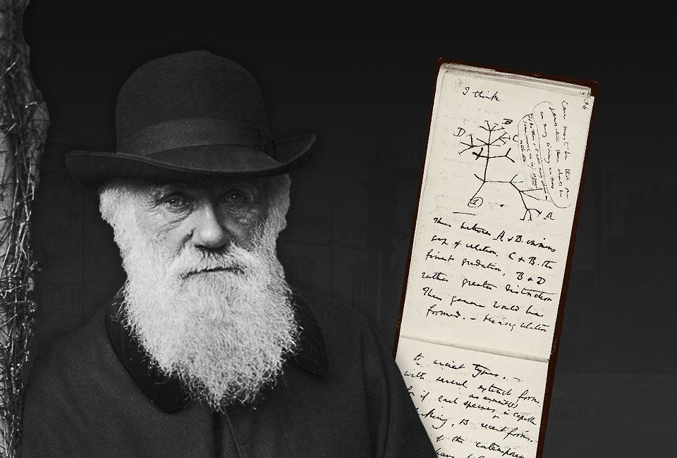 Portrait de Charles Darwin et cahier B de Charles Darwin. Photographie : © Cambridge University Library (DAR 121).