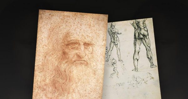 Dessins de Léonard de Vinci : Autoritratto & Nudi per la battaglia di Anghiari, Bibliothèque royale de Turin.
